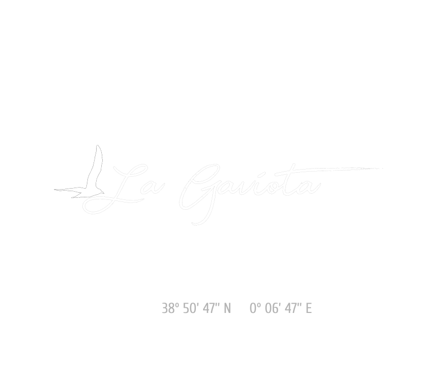La Gaviota Pizzeria Marina el Portet Denia